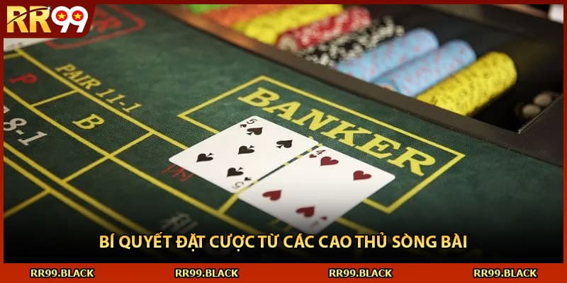 Bí quyết đặt cược từ các cao thủ sòng bài