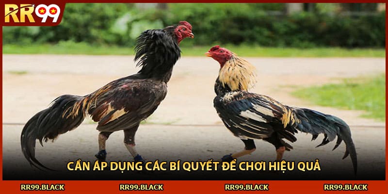 Cần áp dụng các bí quyết để chơi hiệu quả