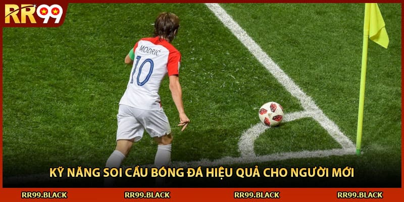 Kỹ năng soi cầu bóng đá hiệu quả cho người mới